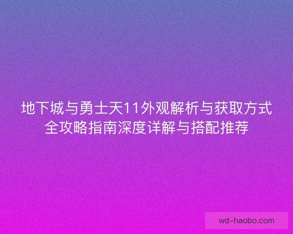 地下城与勇士天11外观解析与获取方式全攻略指南深度详解与搭配推荐